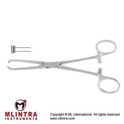 Allis Intestinal and Tissue Grasping Forceps 5 x 6 Teeth Stainless Steel, 15.5 cm - 6" Allis Intestinal and Tissue Grasping Forceps 5 x 6 Teeth Stainless Steel, 15.5 cm - 6"